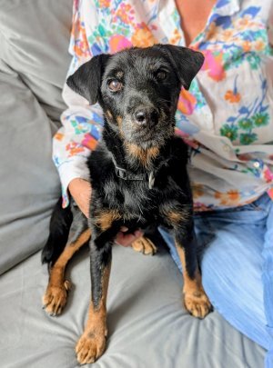 Došla je k njoj da umre